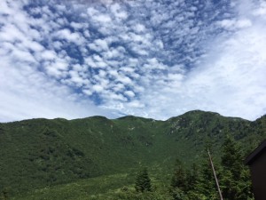 IMG_6190
