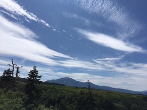 IMG_6191
