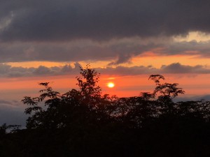 IMG_6241