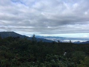 IMG_8137