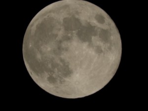 DSCN0172