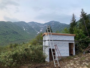 IMG_9311