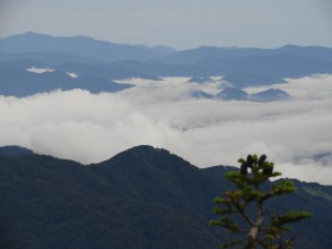 DSCN0190