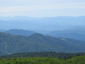 DSCN0192