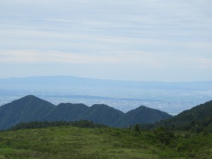 DSCN0193