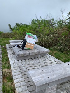 IMG_9319